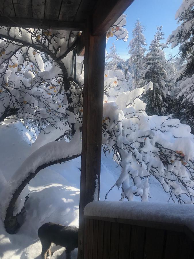 Chalet Familial 아론 외부 사진