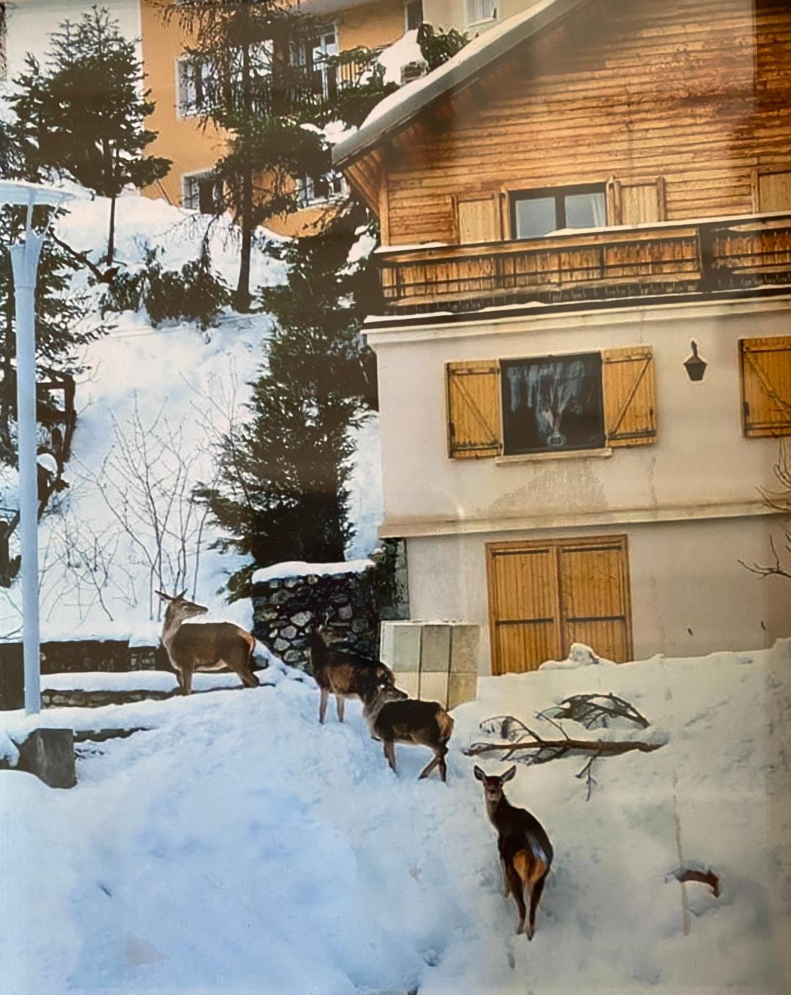 Chalet Familial 아론 외부 사진